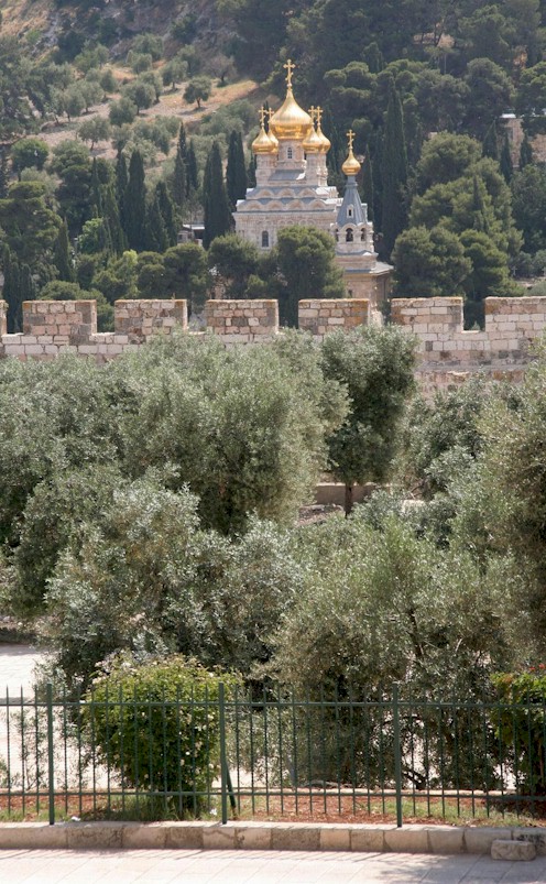 Le mont des Olives