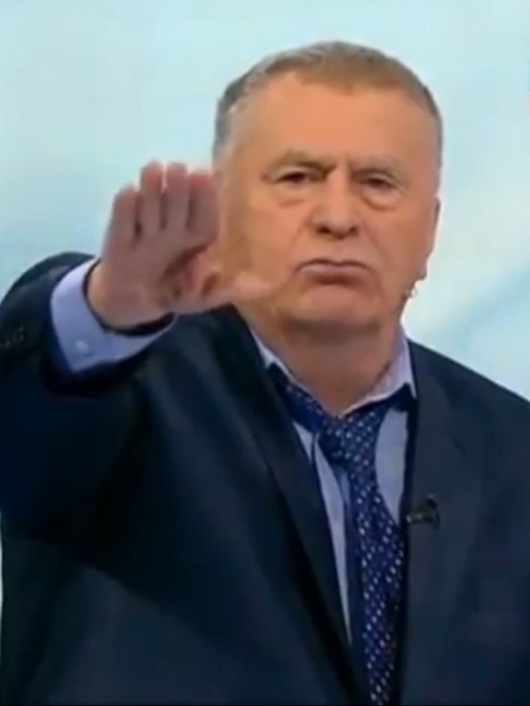Владимир Вольфович Жириновский (Эйдельштейн)