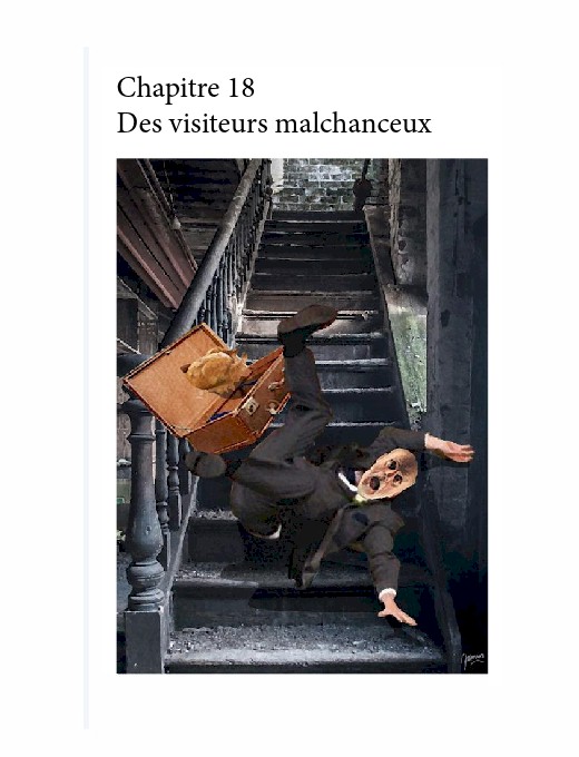 Preview e-Book