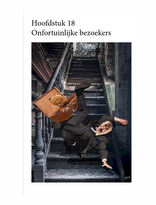 Preview e-Book